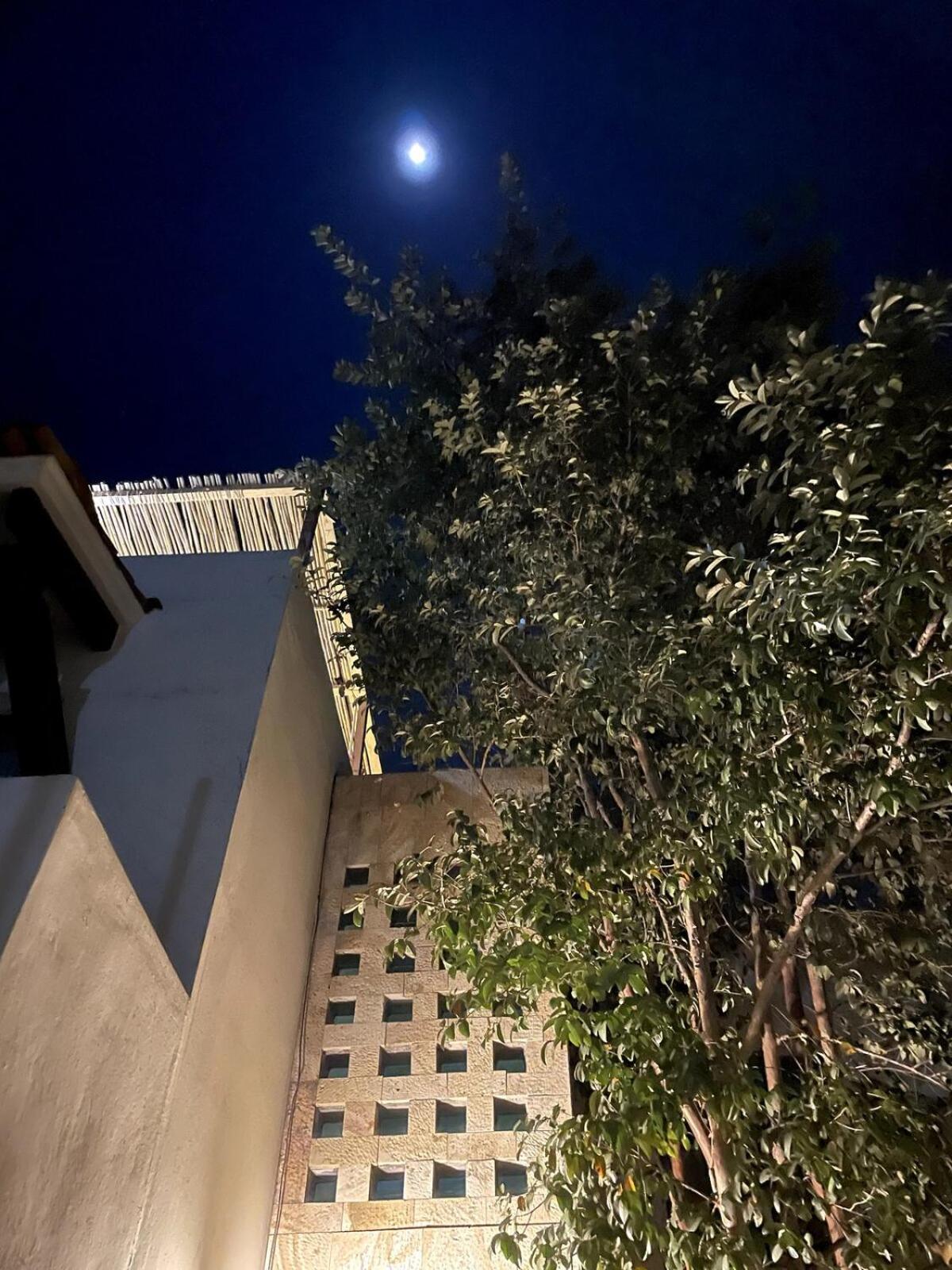 Santa Maria Atzompa Casa Colibri Oaxaca Con Jacuzzi En Terrazaヴィラ エクステリア 写真
